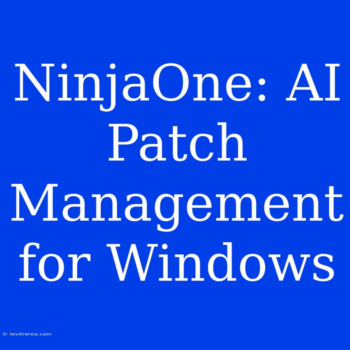 NinjaOne: AI Patch Management For Windows