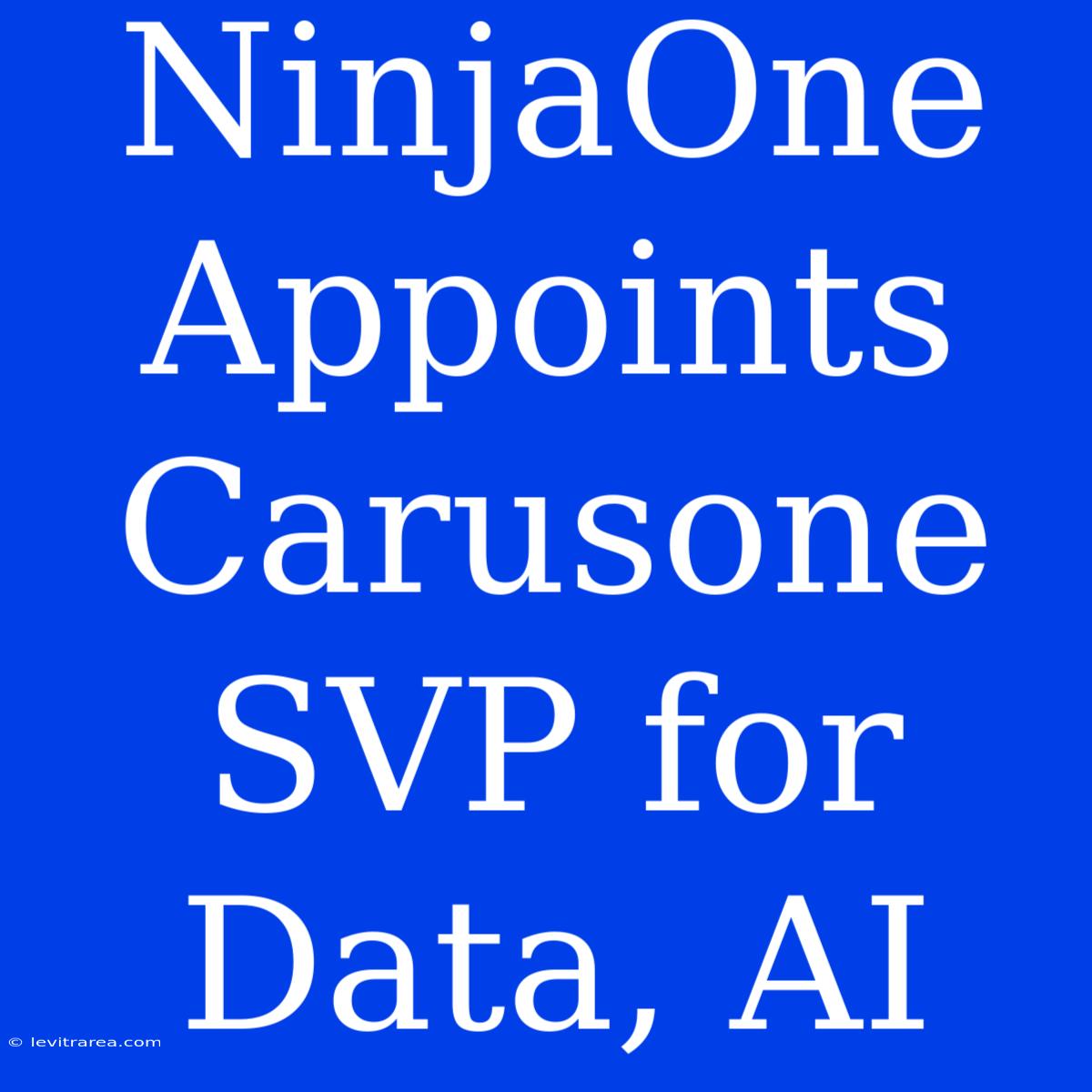 NinjaOne Appoints Carusone SVP For Data, AI