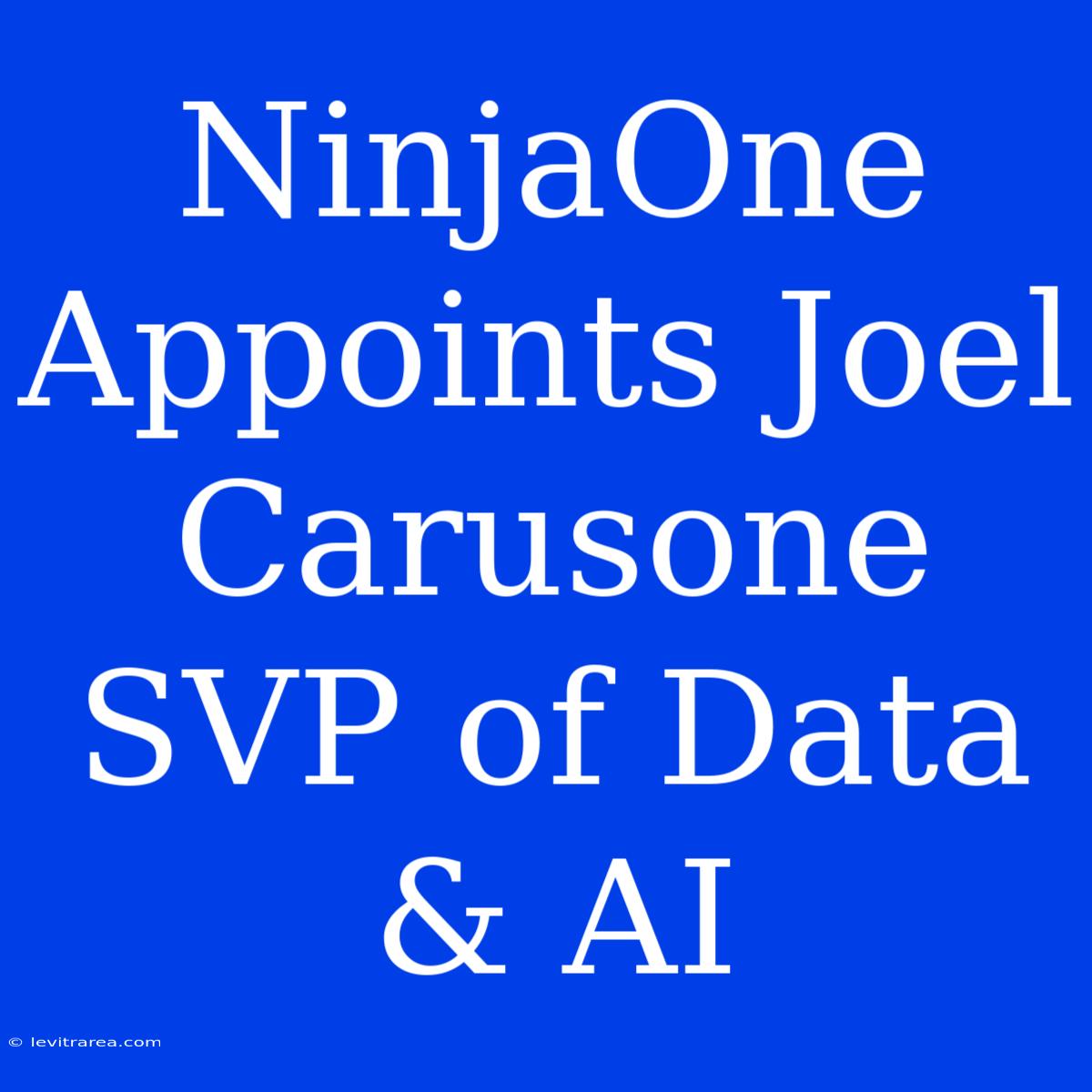 NinjaOne Appoints Joel Carusone SVP Of Data & AI