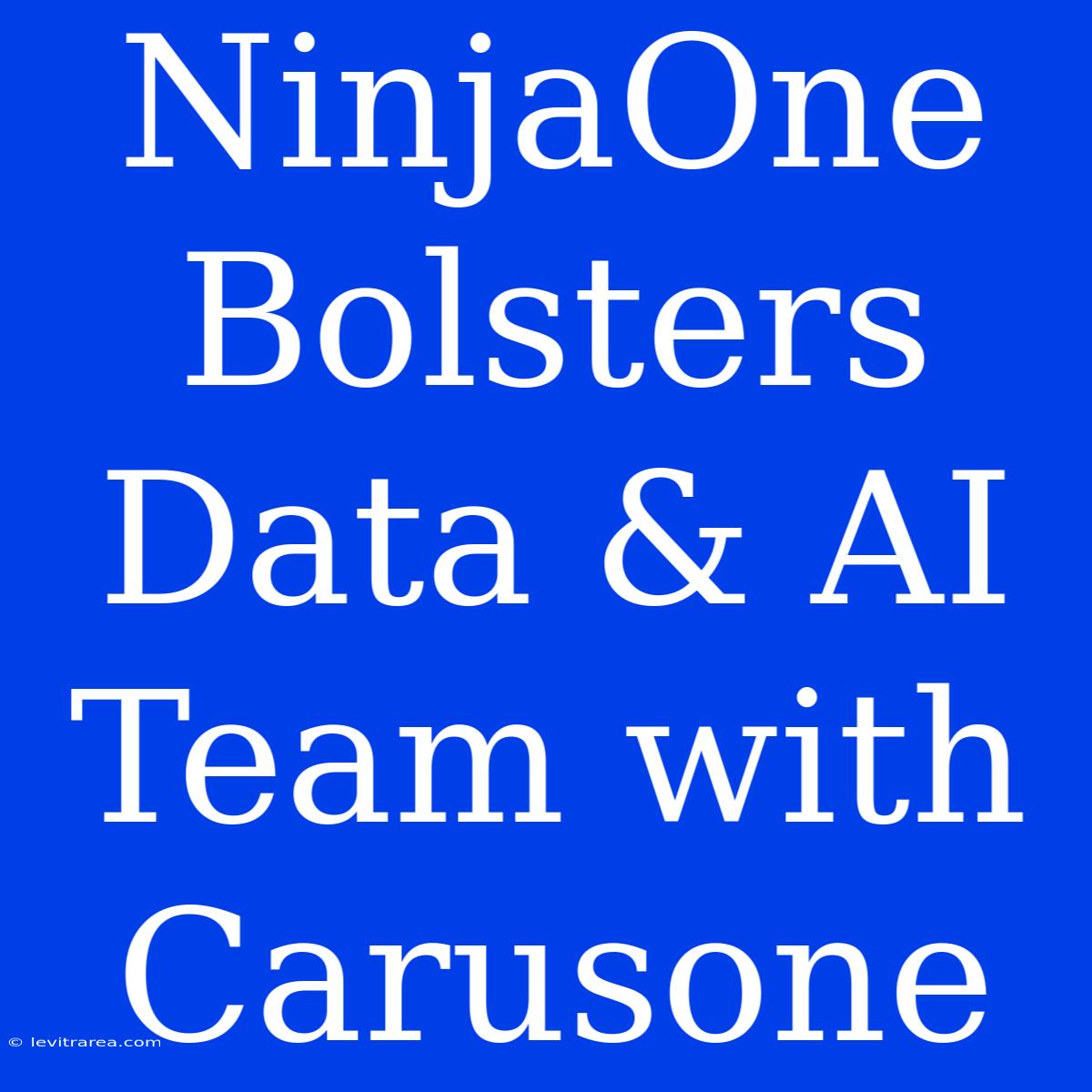 NinjaOne Bolsters Data & AI Team With Carusone