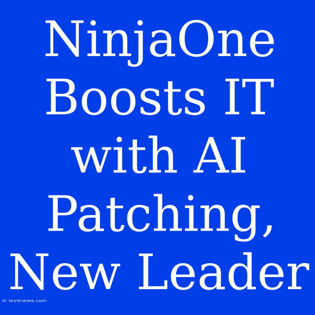 NinjaOne Boosts IT With AI Patching, New Leader