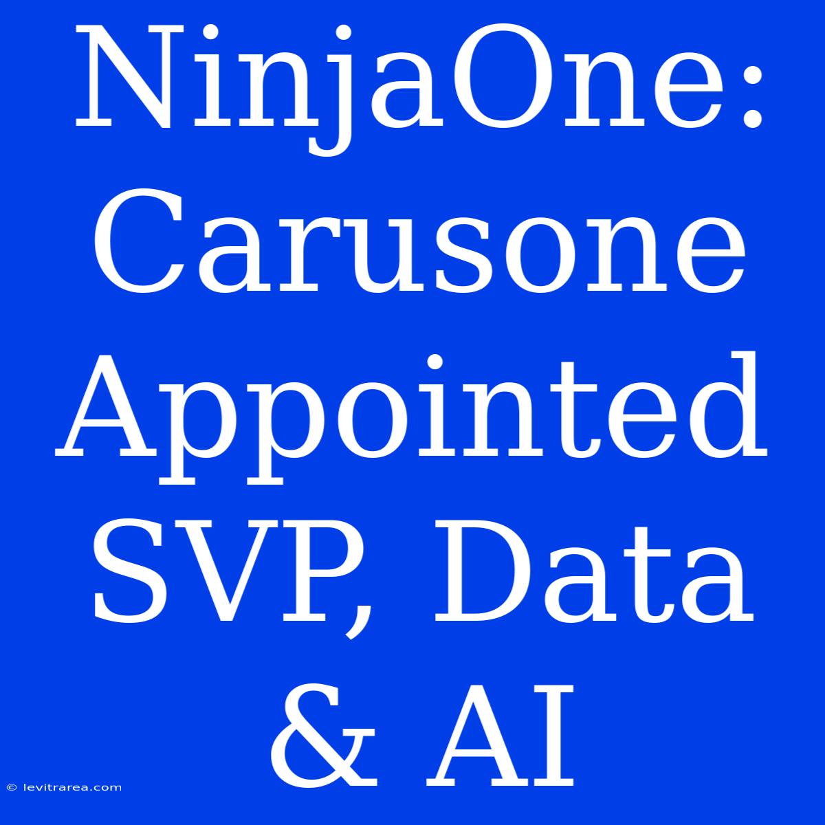 NinjaOne: Carusone Appointed SVP, Data & AI 