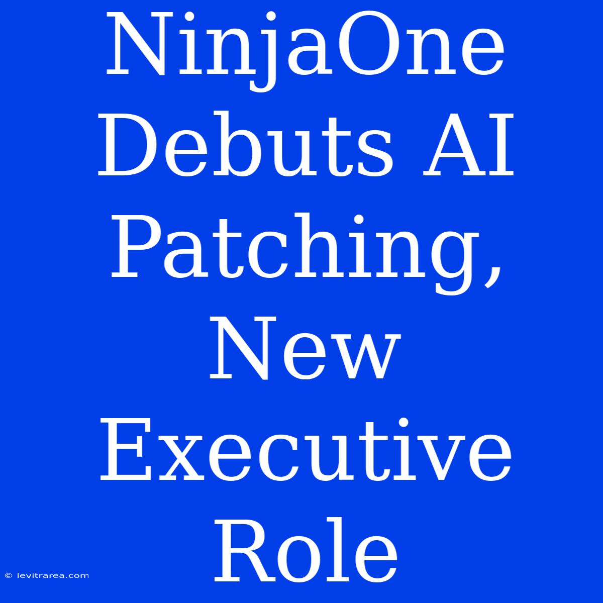 NinjaOne Debuts AI Patching, New Executive Role