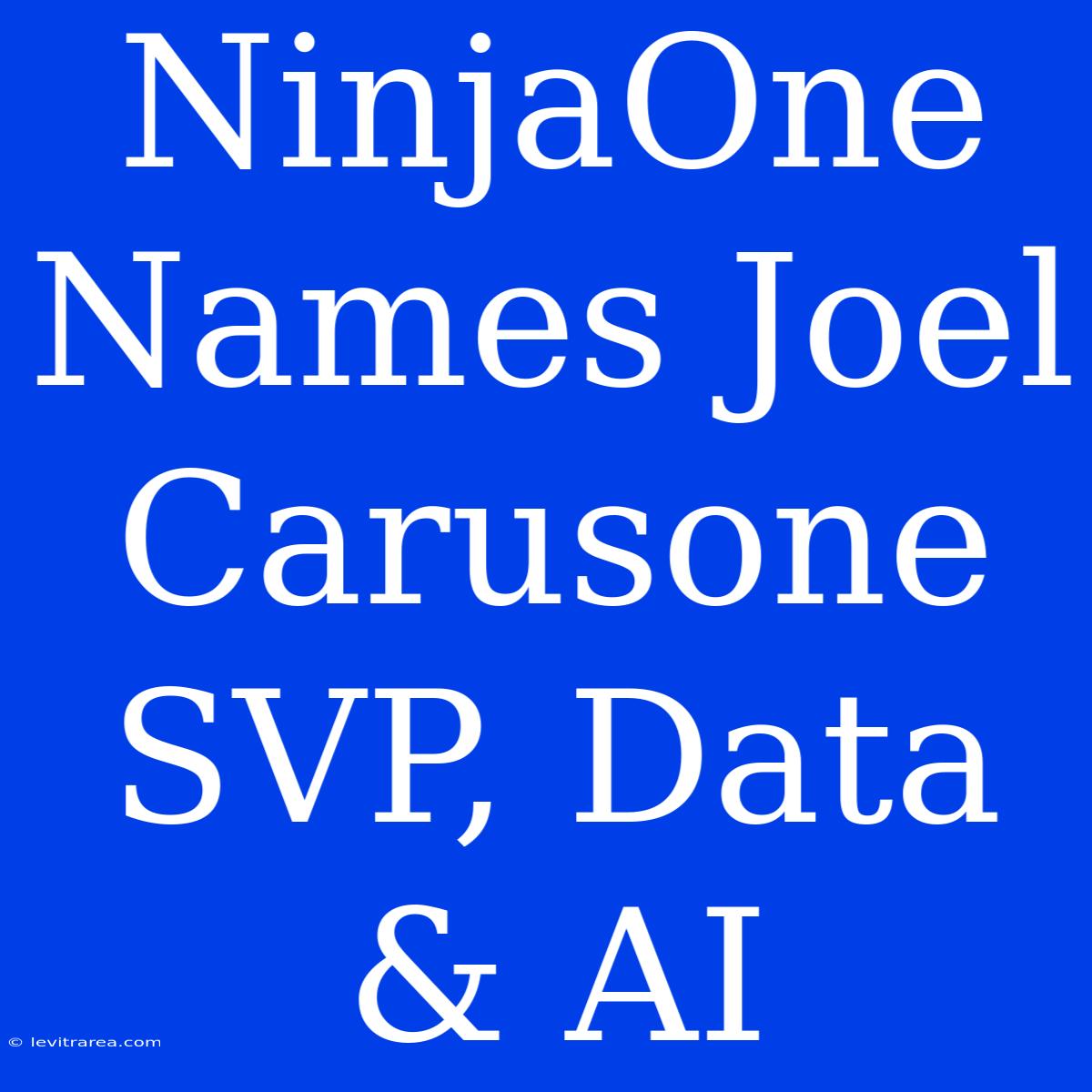 NinjaOne Names Joel Carusone SVP, Data & AI