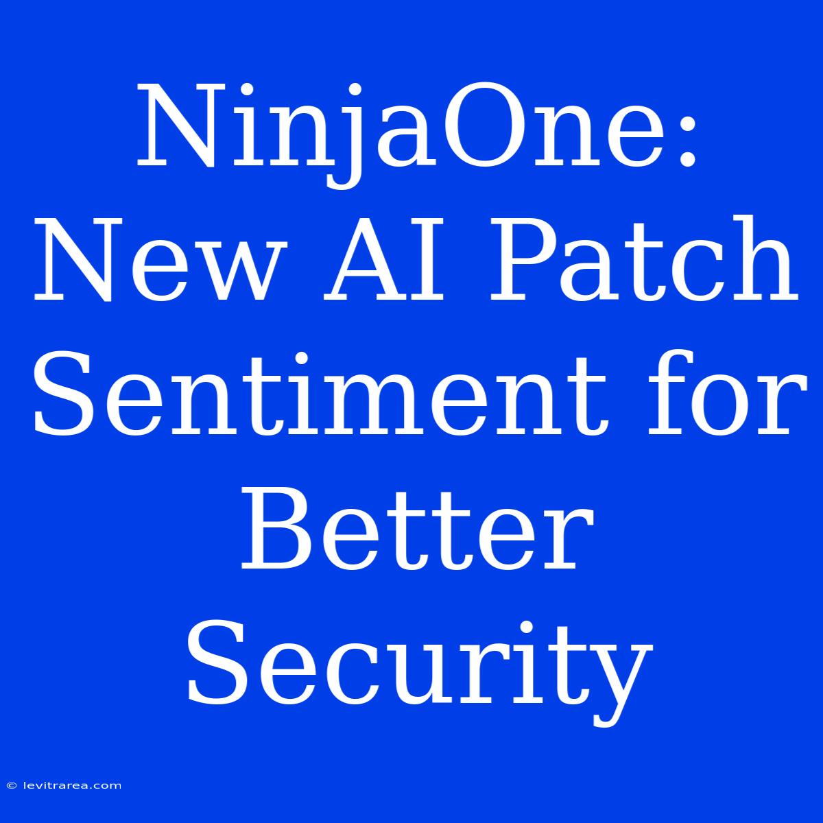 NinjaOne: New AI Patch Sentiment For Better Security