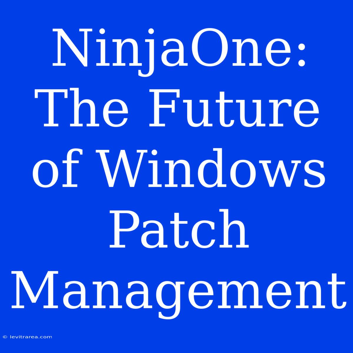 NinjaOne: The Future Of Windows Patch Management 