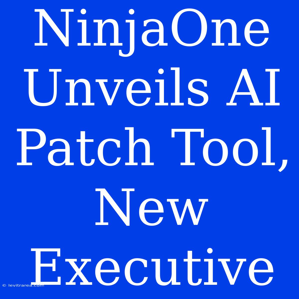 NinjaOne Unveils AI Patch Tool, New Executive