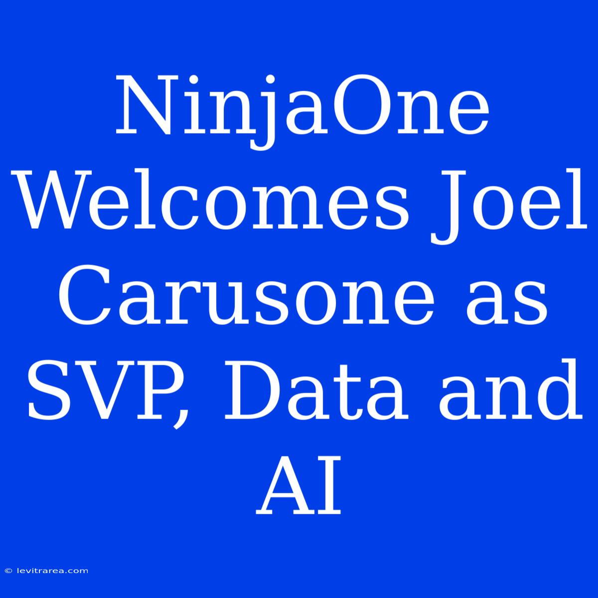 NinjaOne Welcomes Joel Carusone As SVP, Data And AI