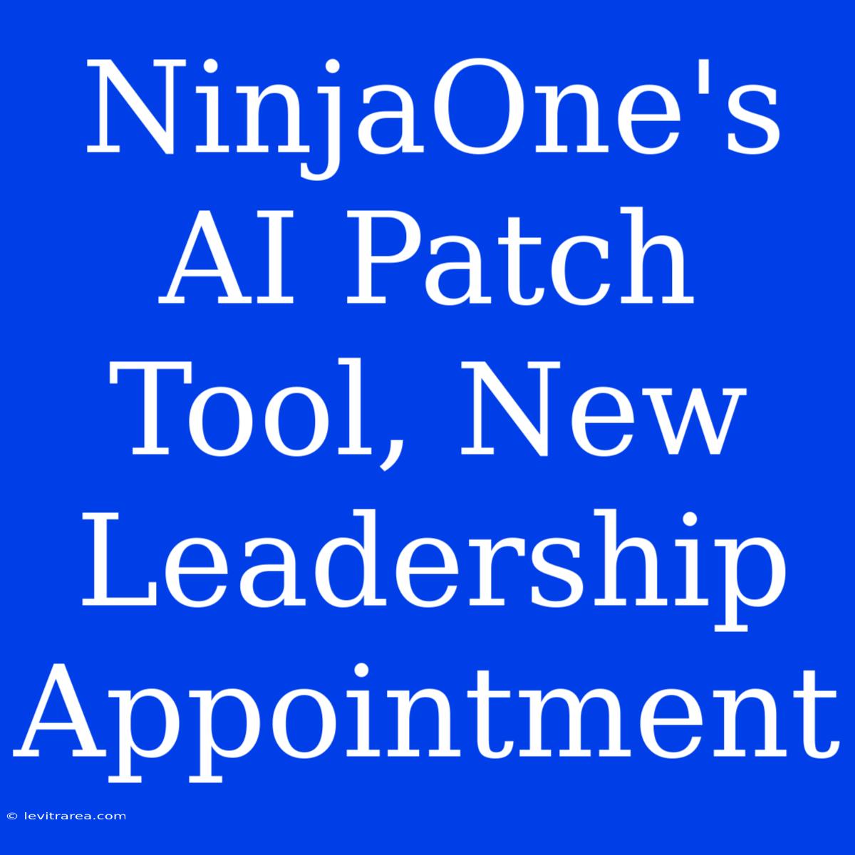 NinjaOne's AI Patch Tool, New Leadership Appointment