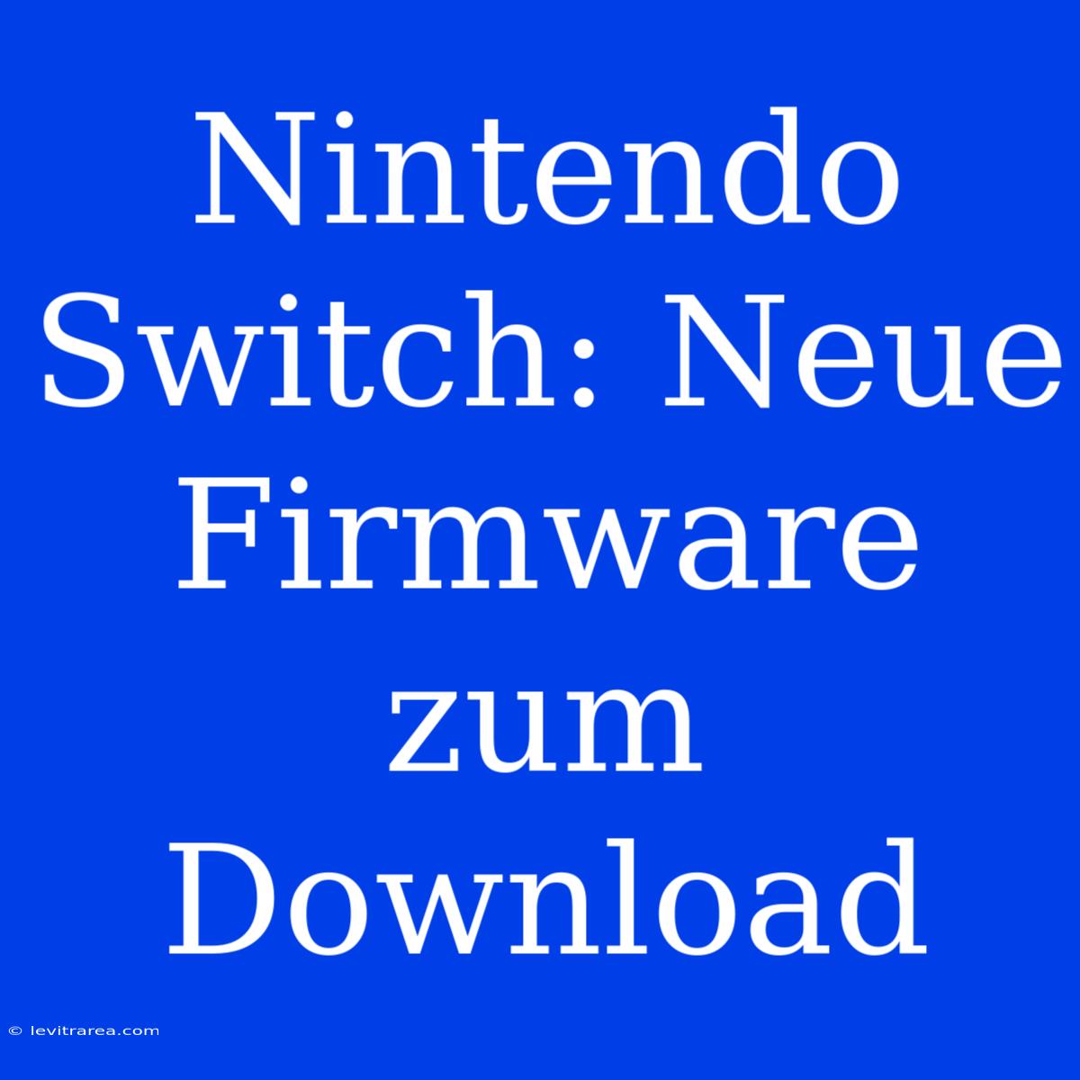 Nintendo Switch: Neue Firmware Zum Download