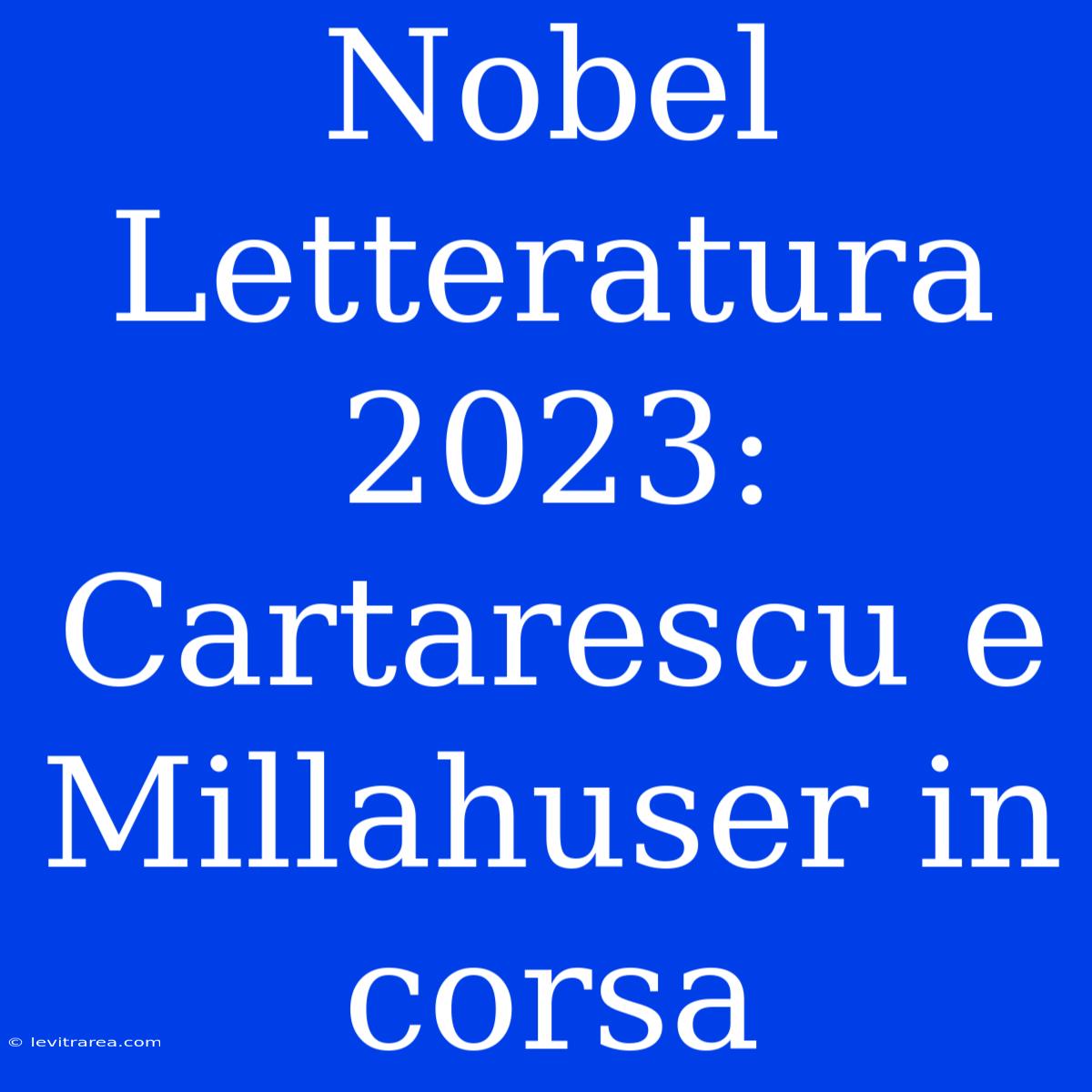 Nobel Letteratura 2023: Cartarescu E Millahuser In Corsa