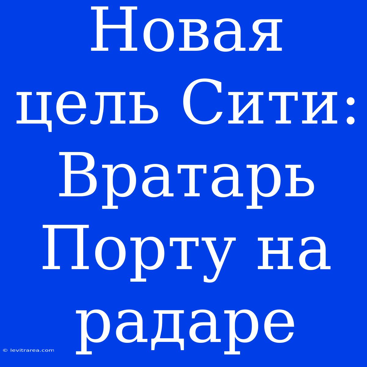 Новая Цель Сити: Вратарь Порту На Радаре