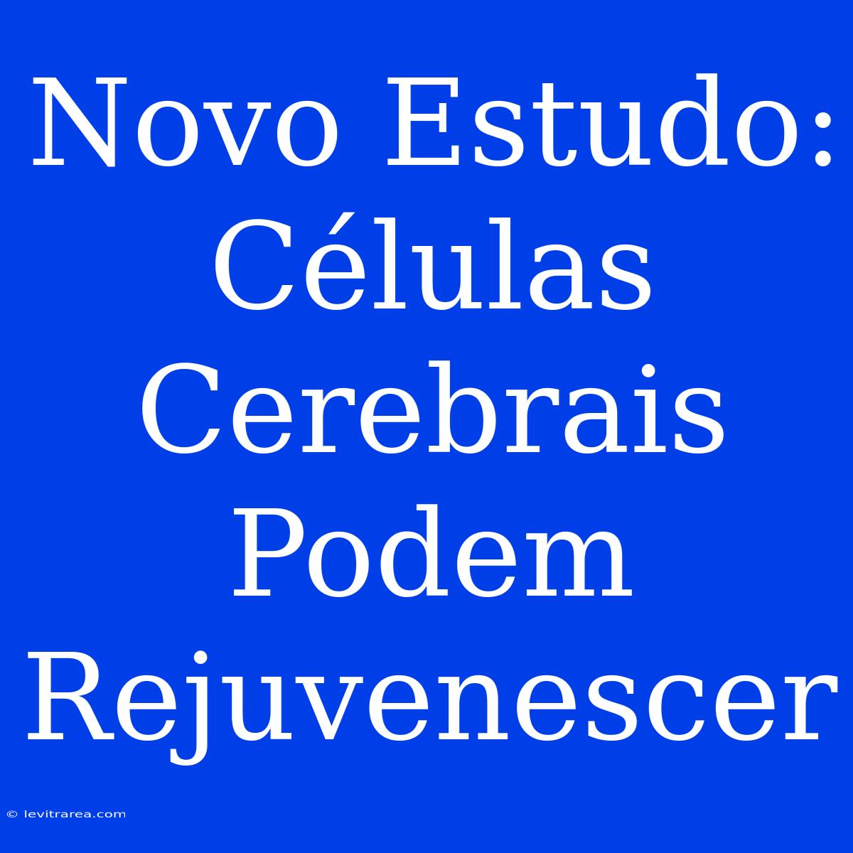 Novo Estudo: Células Cerebrais Podem Rejuvenescer