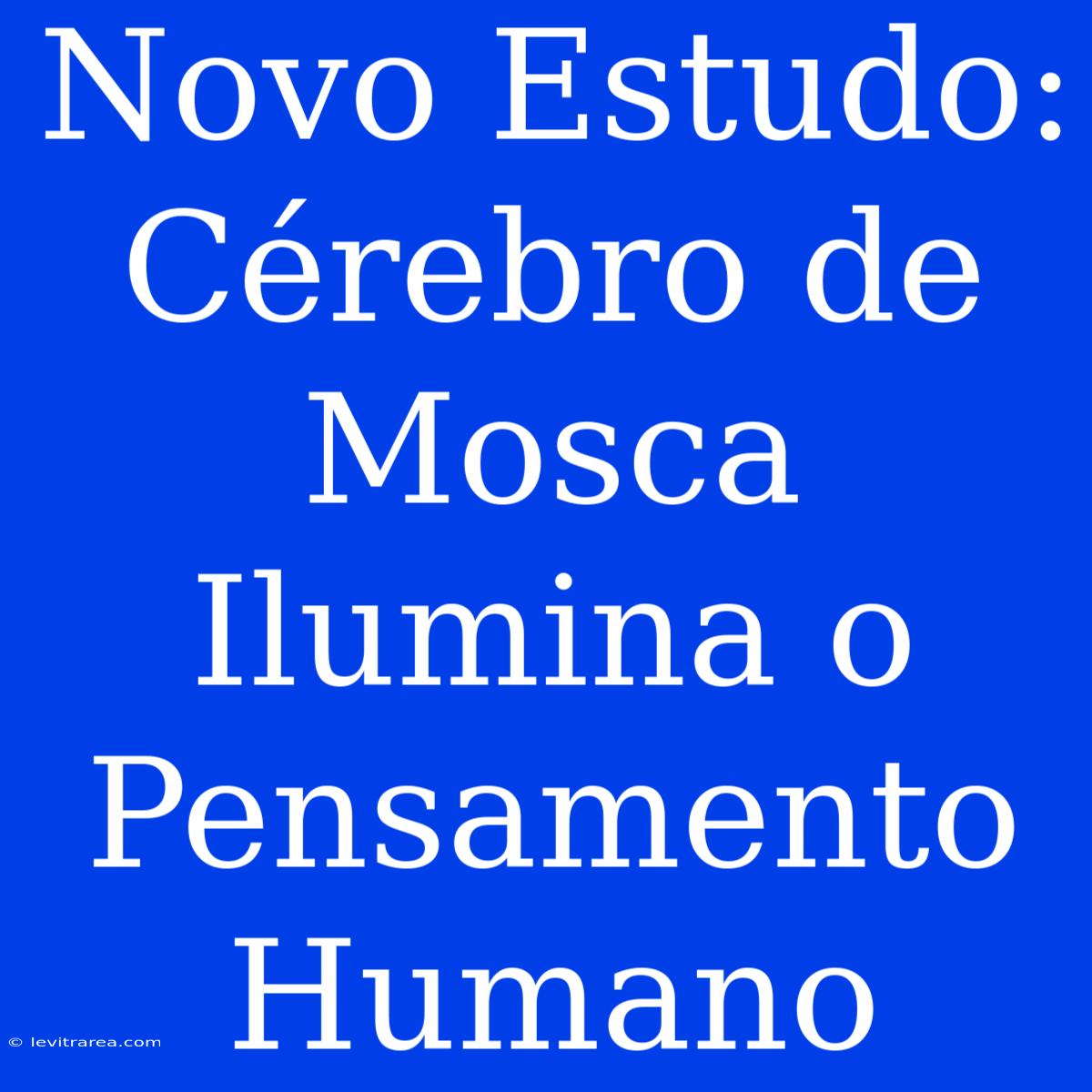 Novo Estudo: Cérebro De Mosca Ilumina O Pensamento Humano