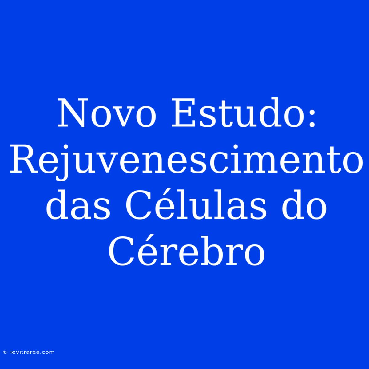 Novo Estudo: Rejuvenescimento Das Células Do Cérebro