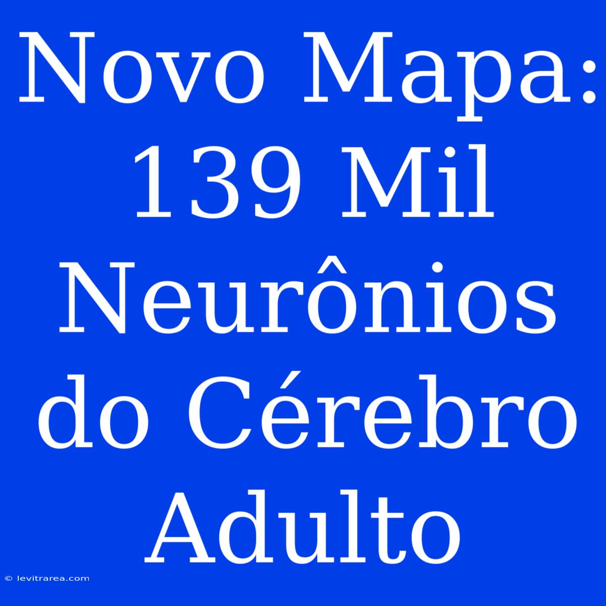 Novo Mapa: 139 Mil Neurônios Do Cérebro Adulto