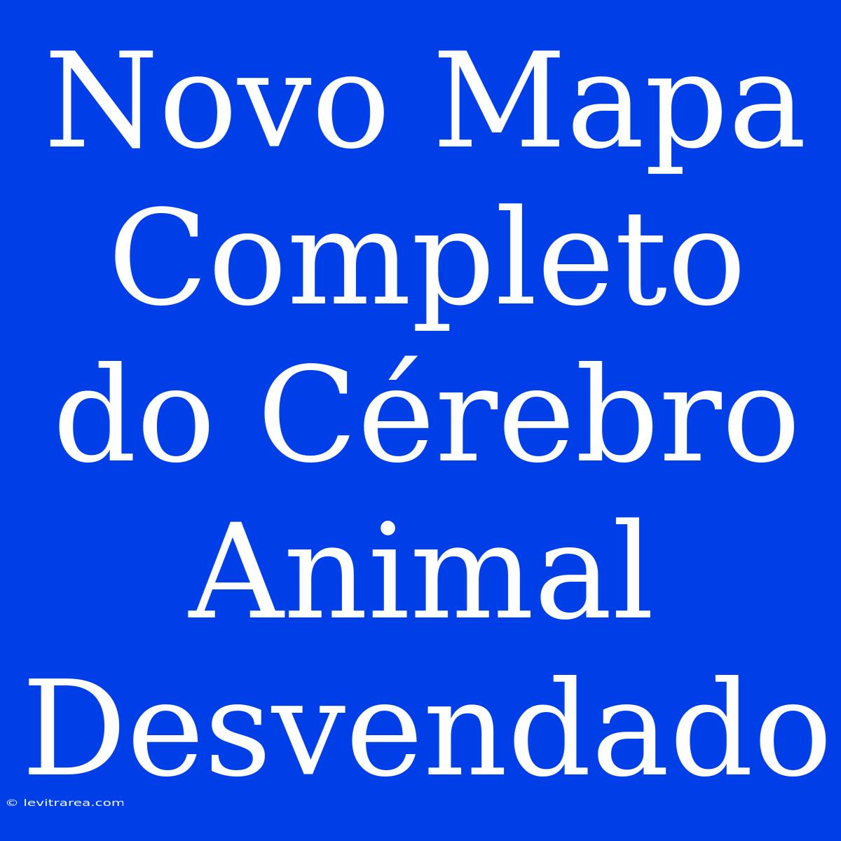 Novo Mapa Completo Do Cérebro Animal Desvendado 