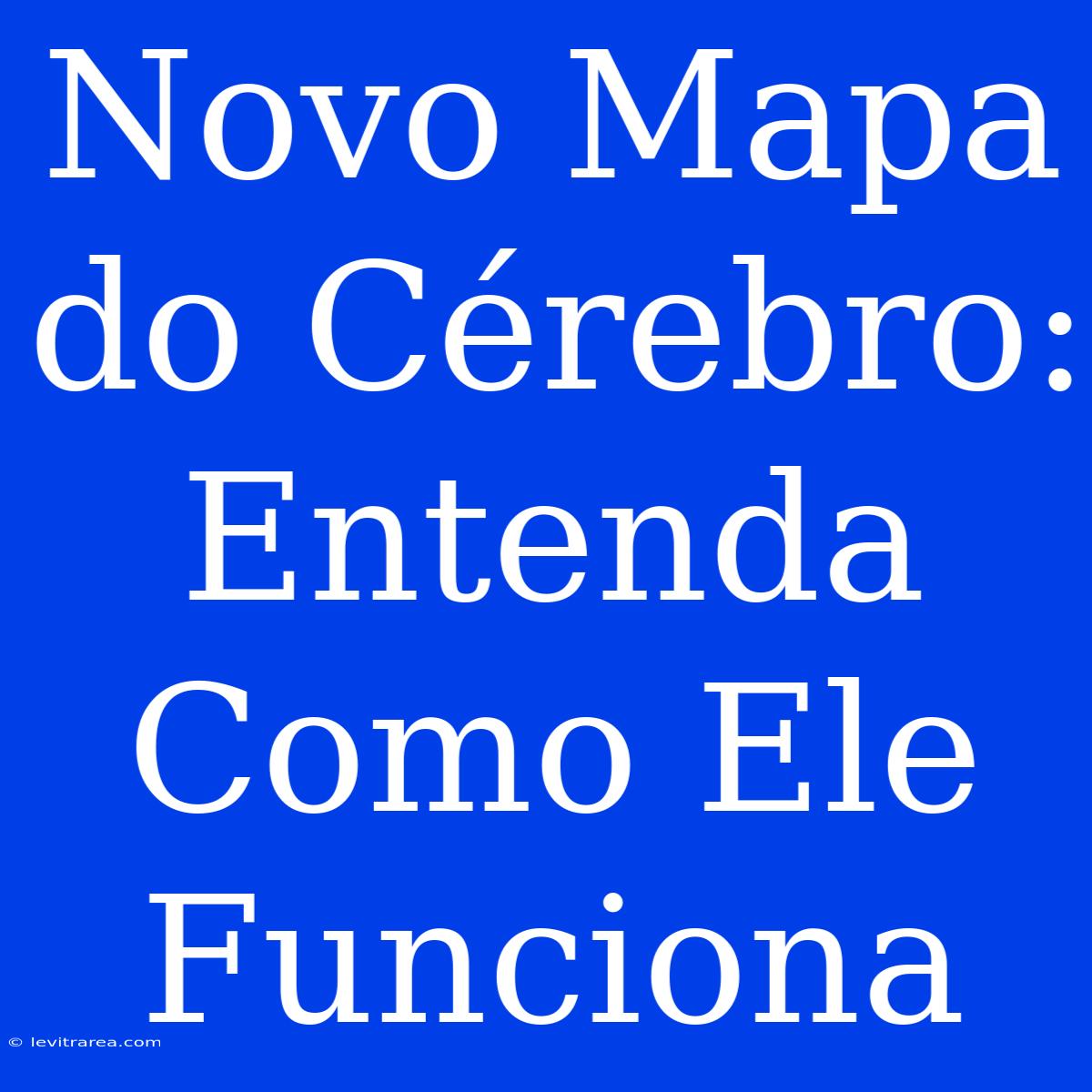 Novo Mapa Do Cérebro: Entenda Como Ele Funciona