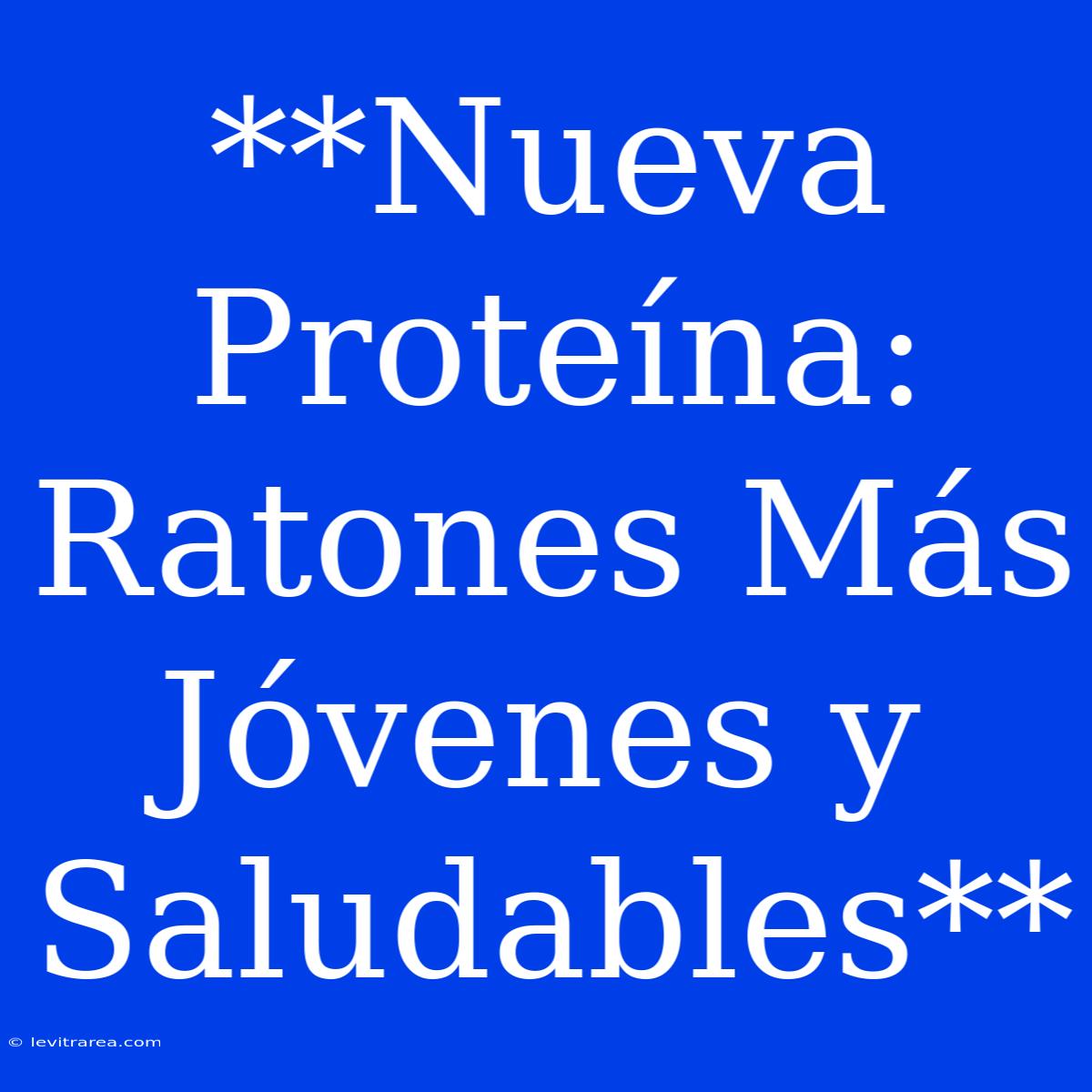 **Nueva Proteína: Ratones Más Jóvenes Y Saludables**