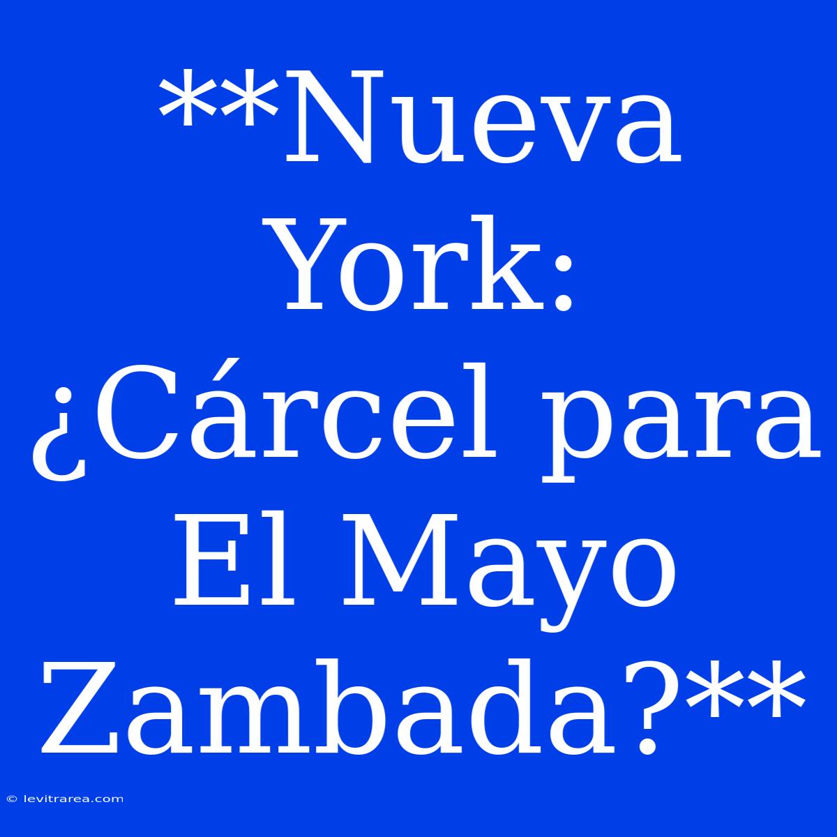 **Nueva York: ¿Cárcel Para El Mayo Zambada?**