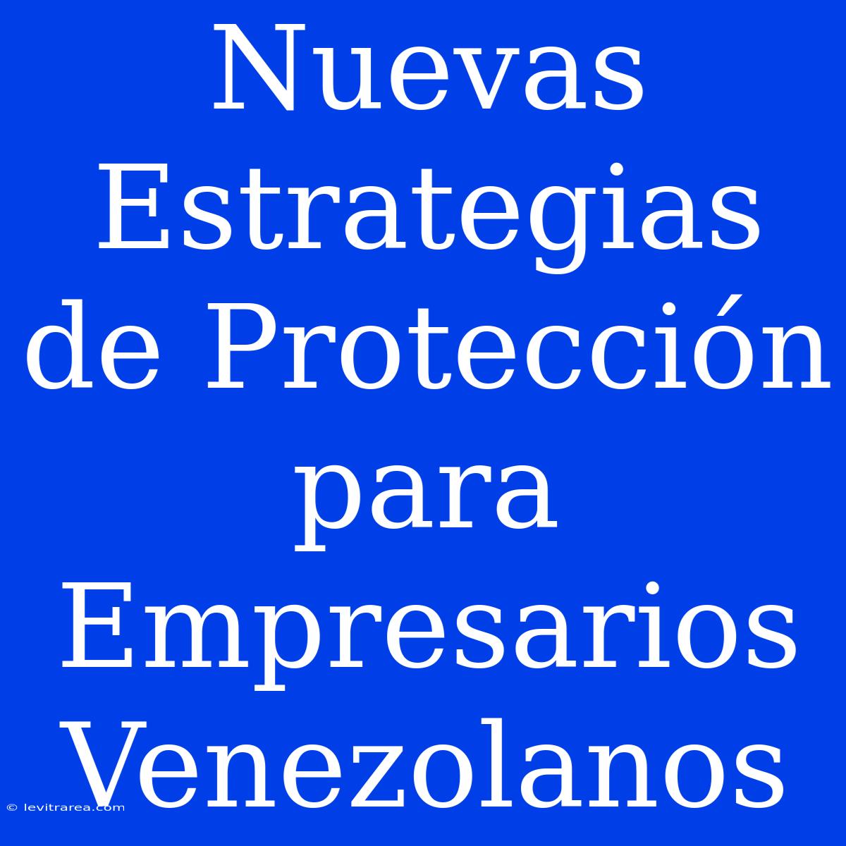 Nuevas Estrategias De Protección Para Empresarios Venezolanos