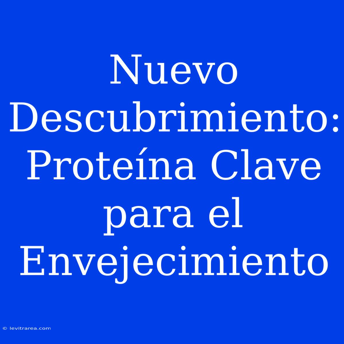 Nuevo Descubrimiento: Proteína Clave Para El Envejecimiento