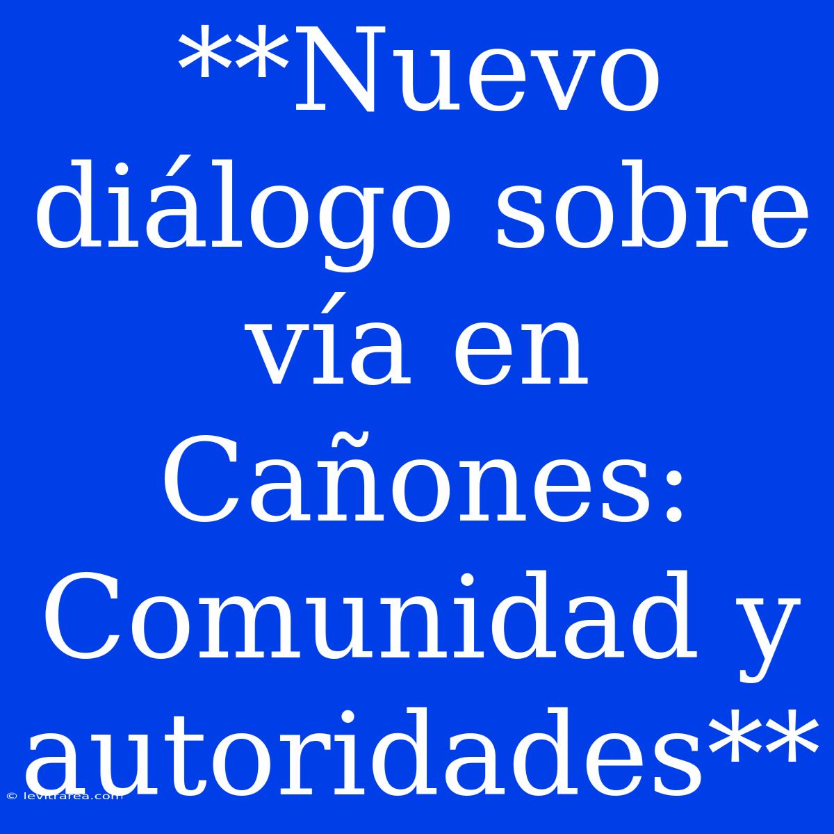 **Nuevo Diálogo Sobre Vía En Cañones: Comunidad Y Autoridades**