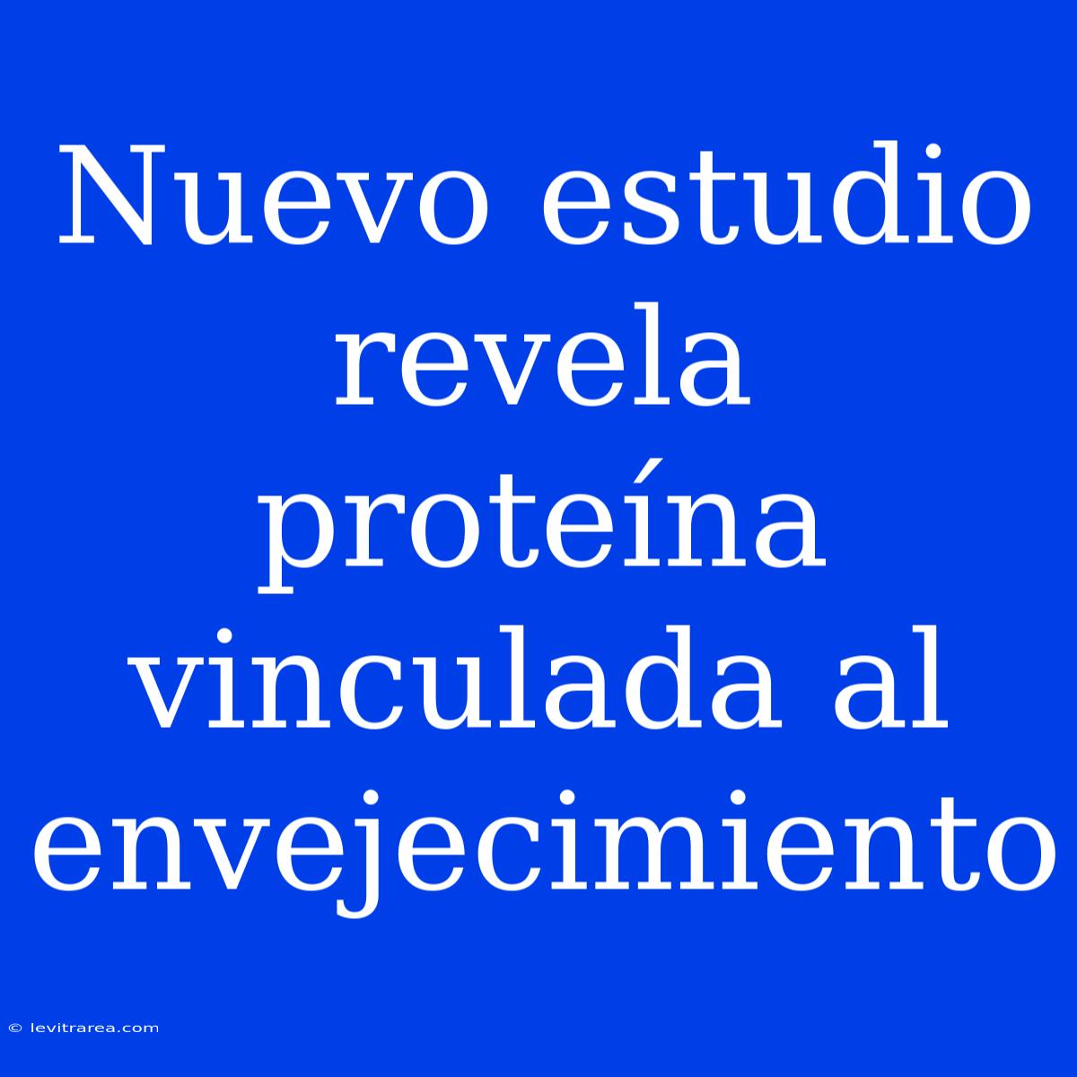 Nuevo Estudio Revela Proteína Vinculada Al Envejecimiento