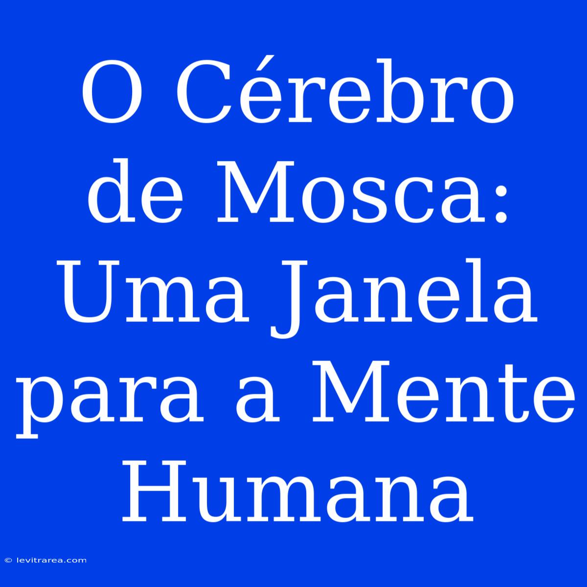 O Cérebro De Mosca: Uma Janela Para A Mente Humana