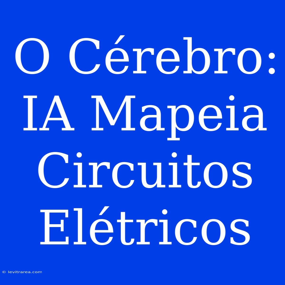 O Cérebro: IA Mapeia Circuitos Elétricos