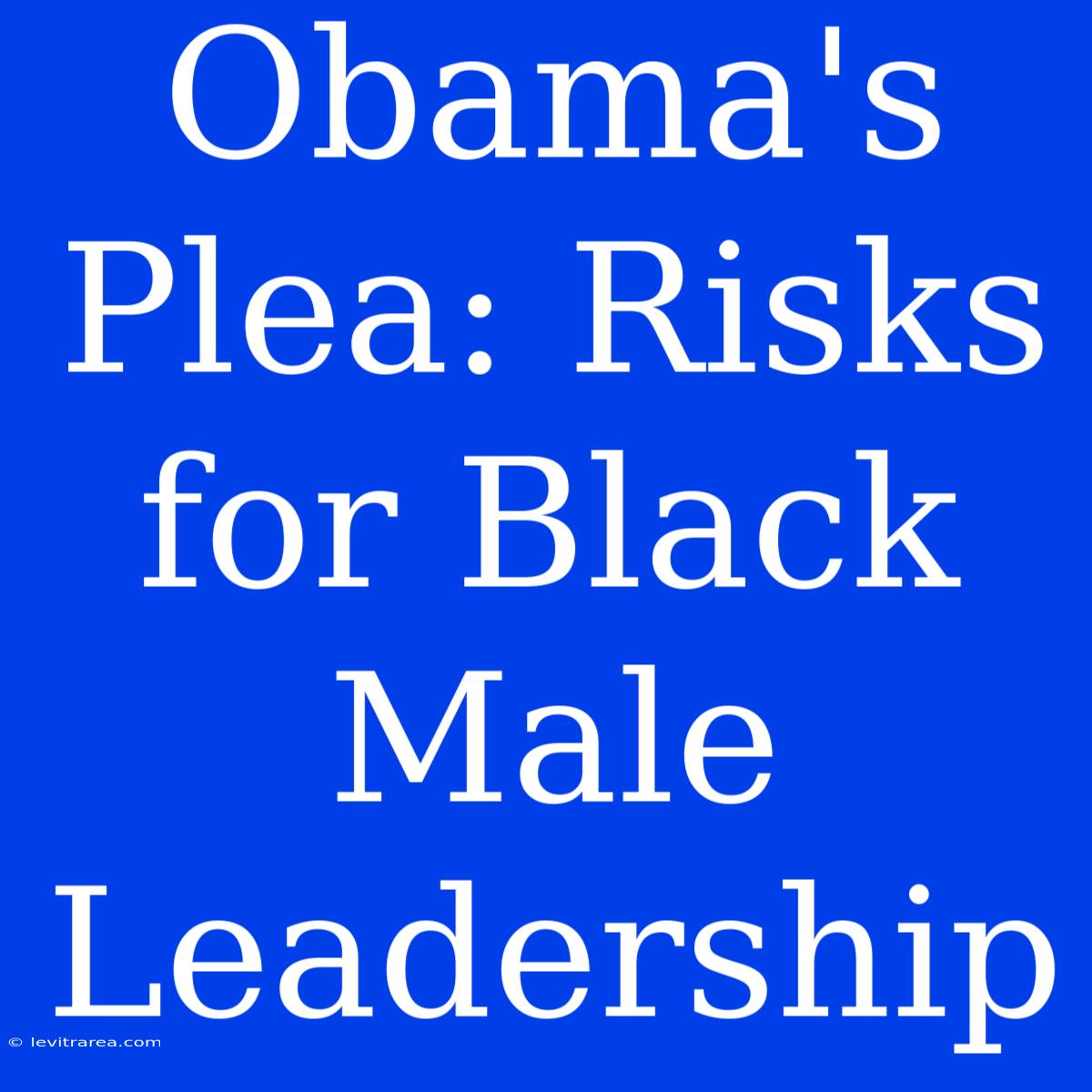 Obama's Plea: Risks For Black Male Leadership