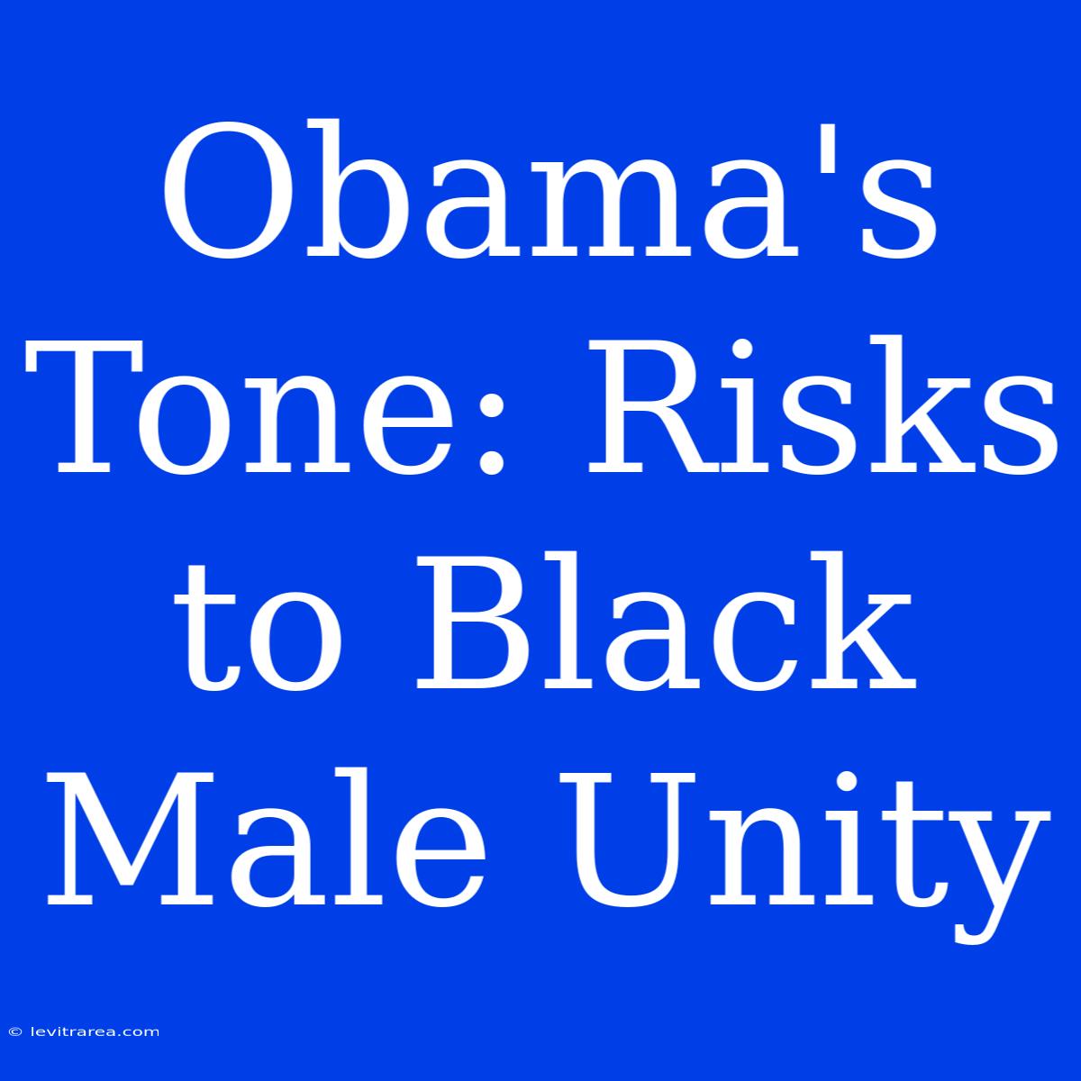 Obama's Tone: Risks To Black Male Unity