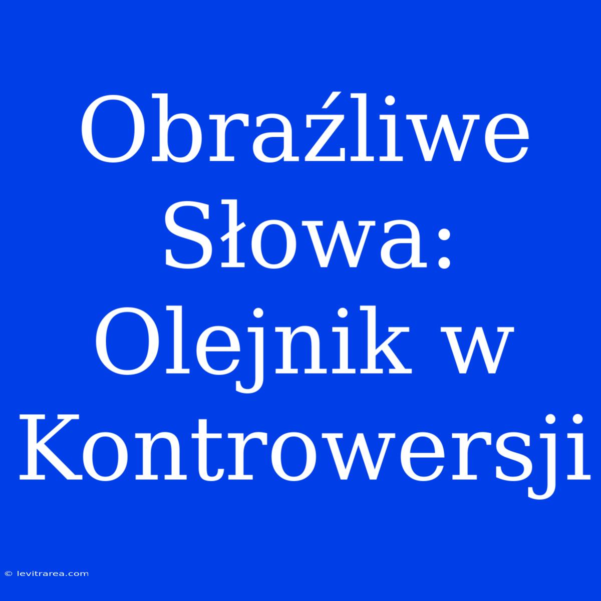 Obraźliwe Słowa: Olejnik W Kontrowersji