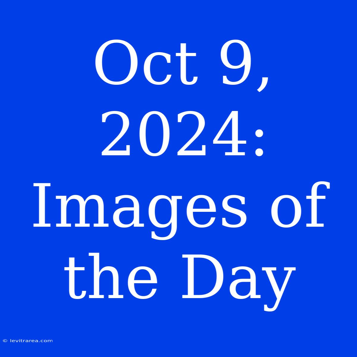 Oct 9, 2024: Images Of The Day