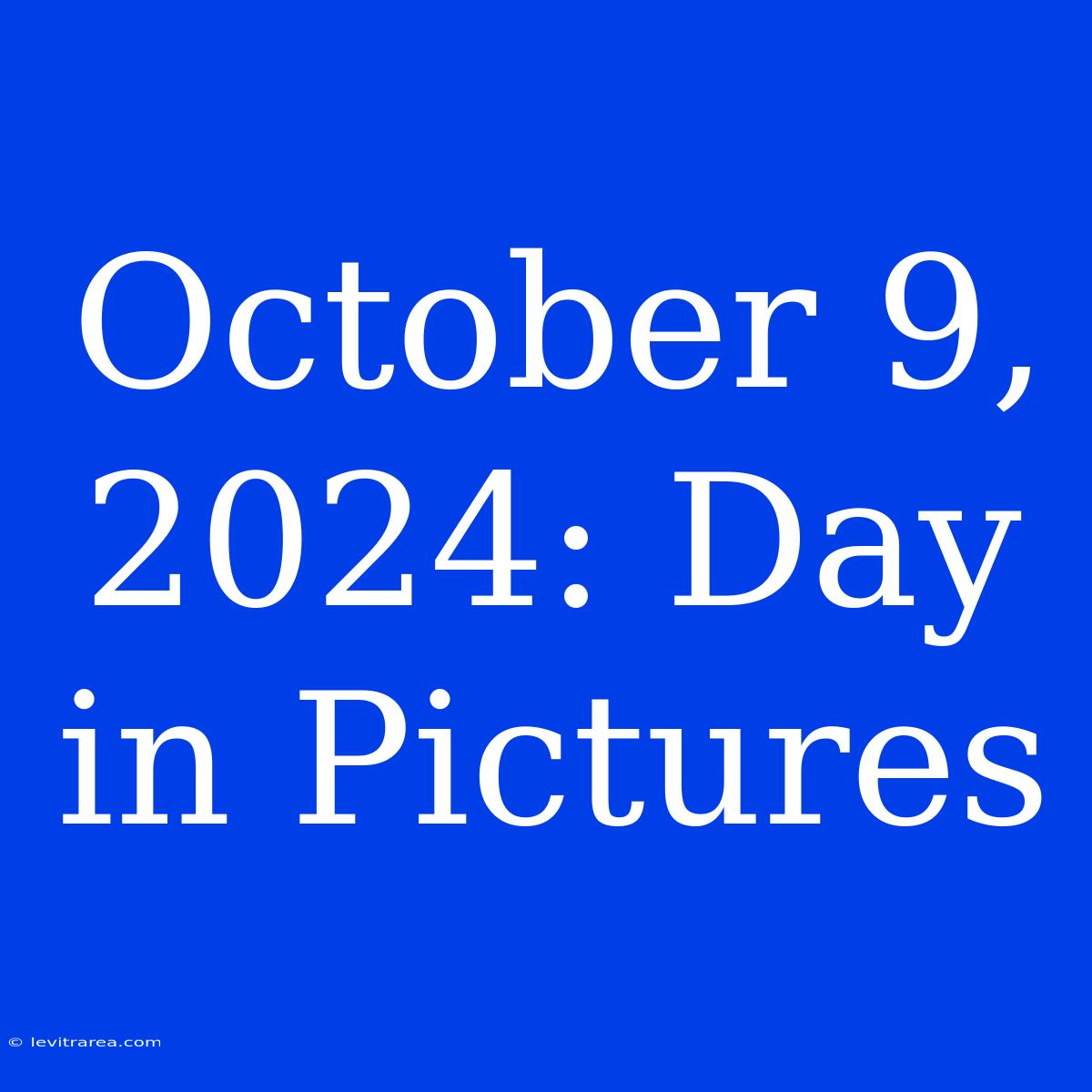 October 9, 2024: Day In Pictures