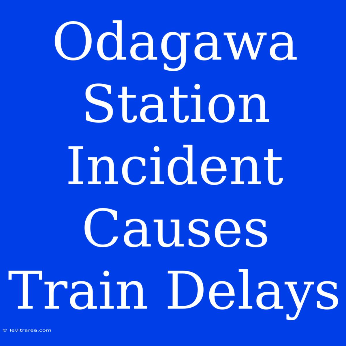 Odagawa Station Incident Causes Train Delays