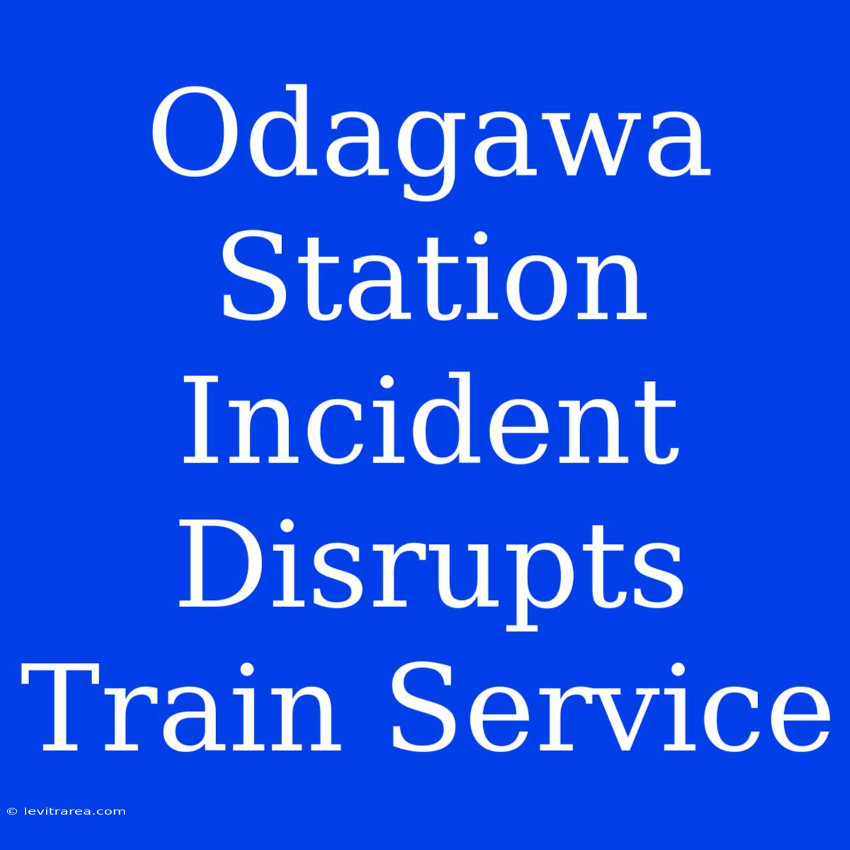 Odagawa Station Incident Disrupts Train Service