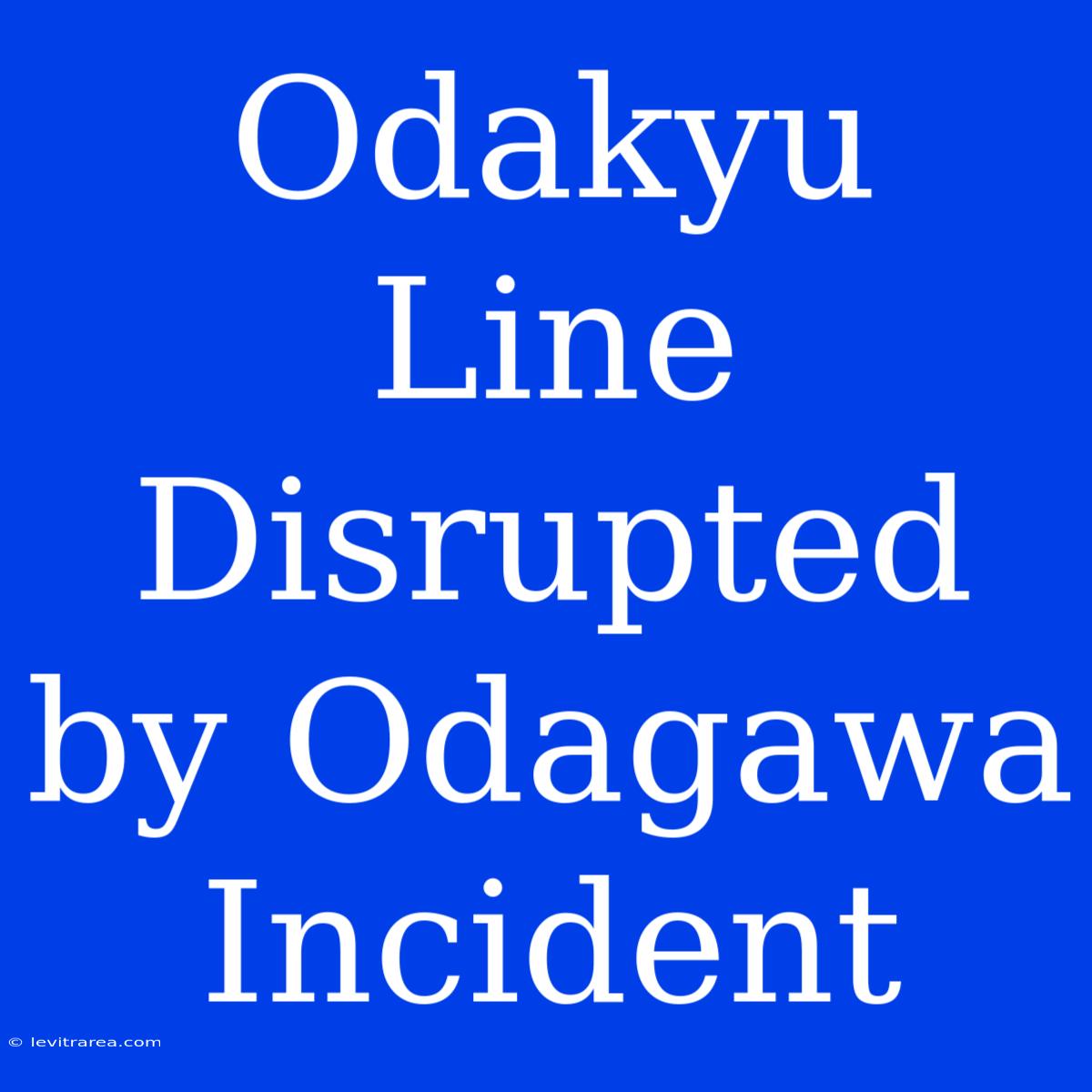 Odakyu Line Disrupted By Odagawa Incident