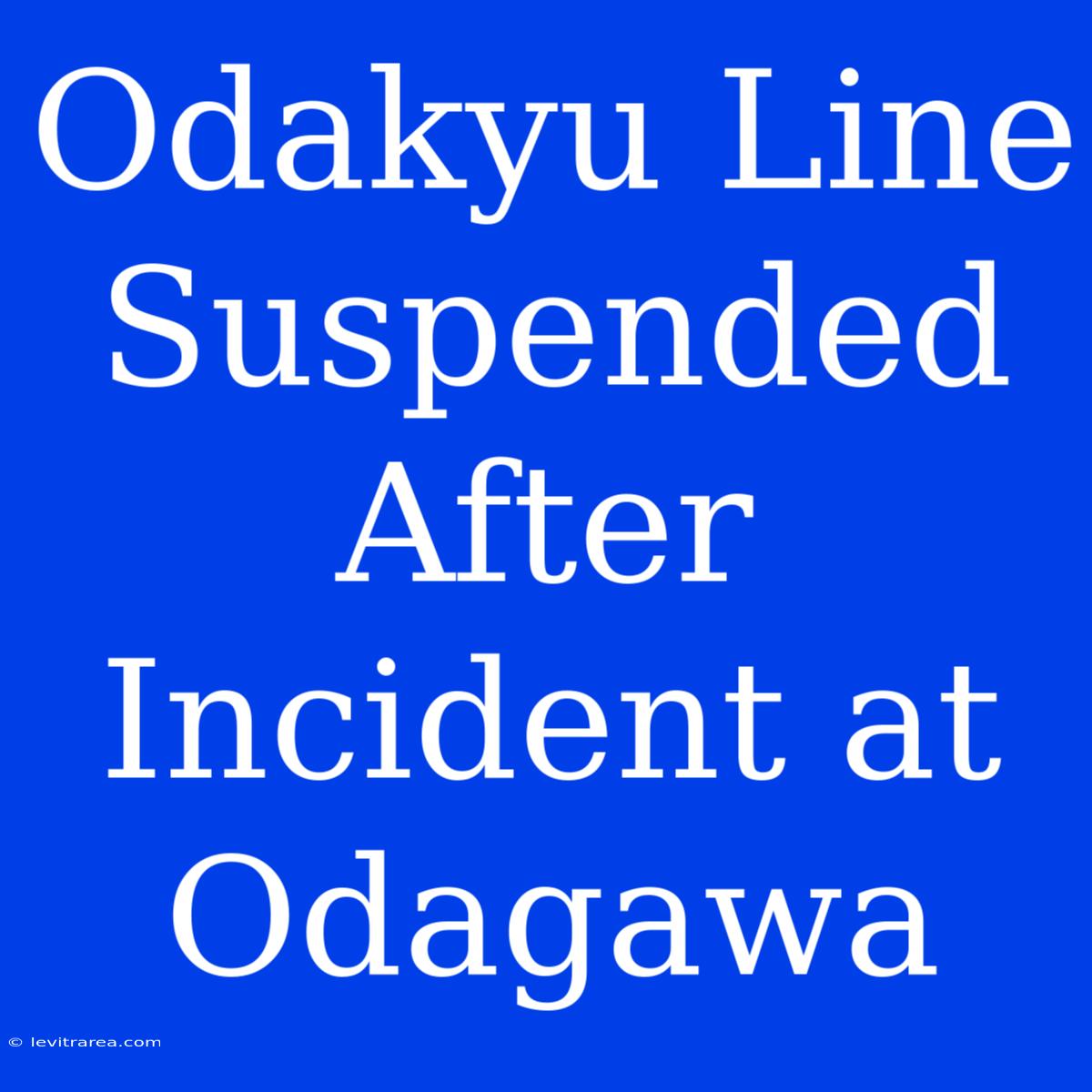 Odakyu Line Suspended After Incident At Odagawa