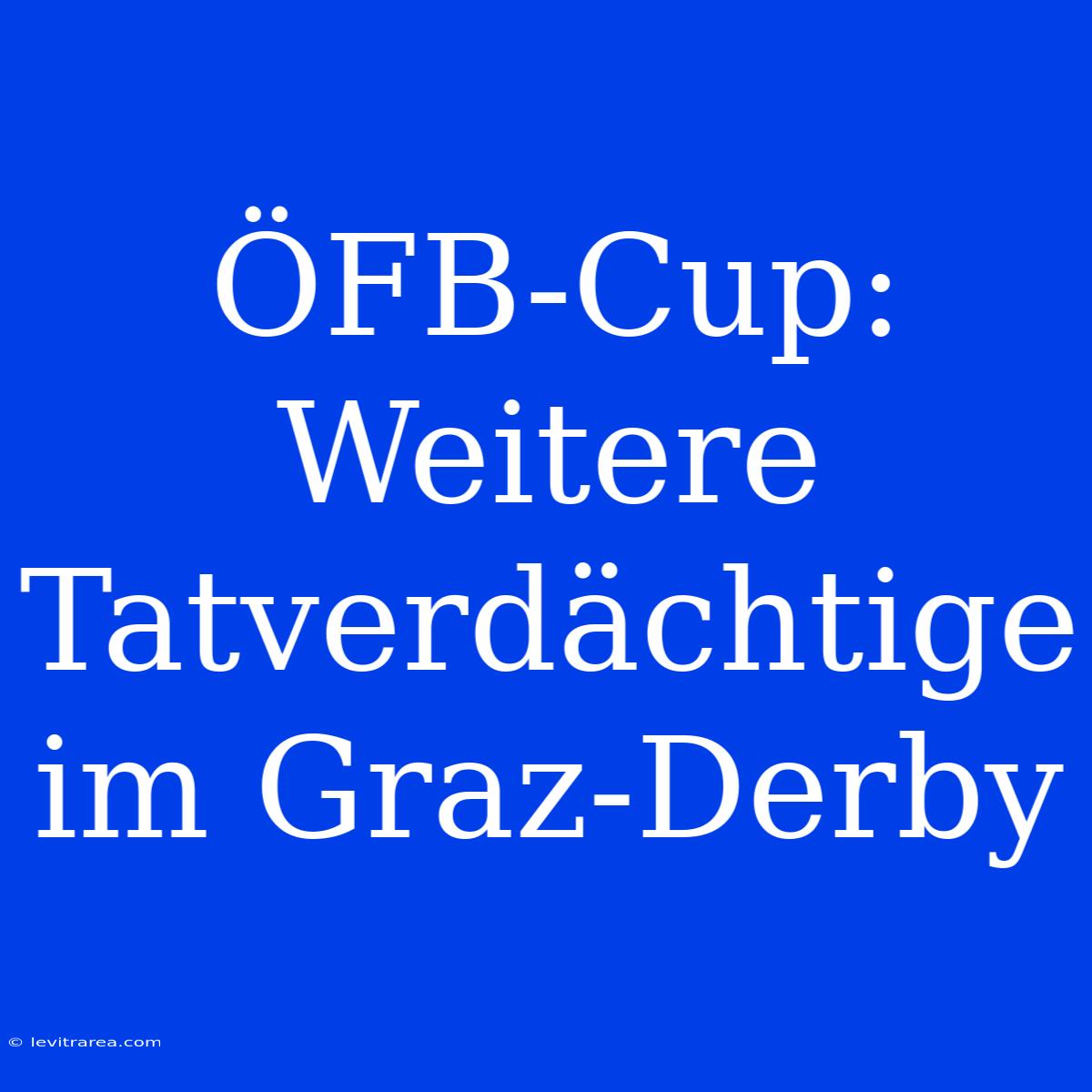 ÖFB-Cup: Weitere Tatverdächtige Im Graz-Derby