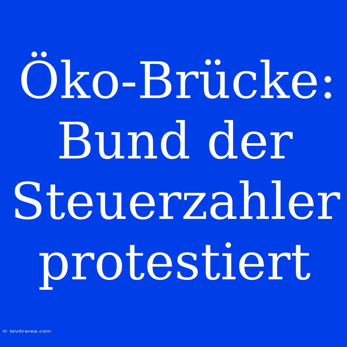 Öko-Brücke: Bund Der Steuerzahler Protestiert