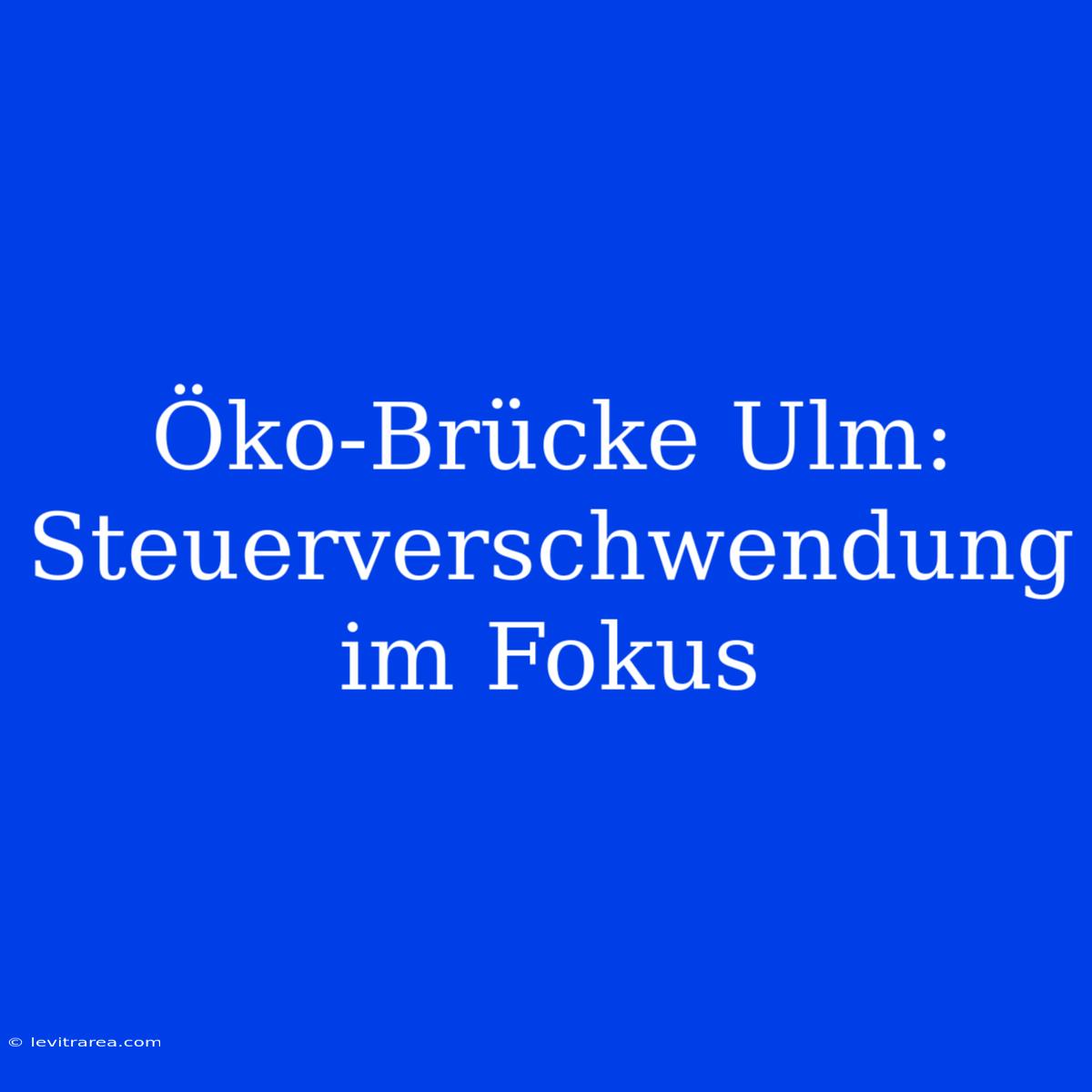 Öko-Brücke Ulm: Steuerverschwendung Im Fokus