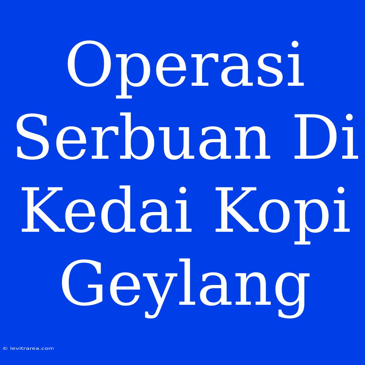 Operasi Serbuan Di Kedai Kopi Geylang