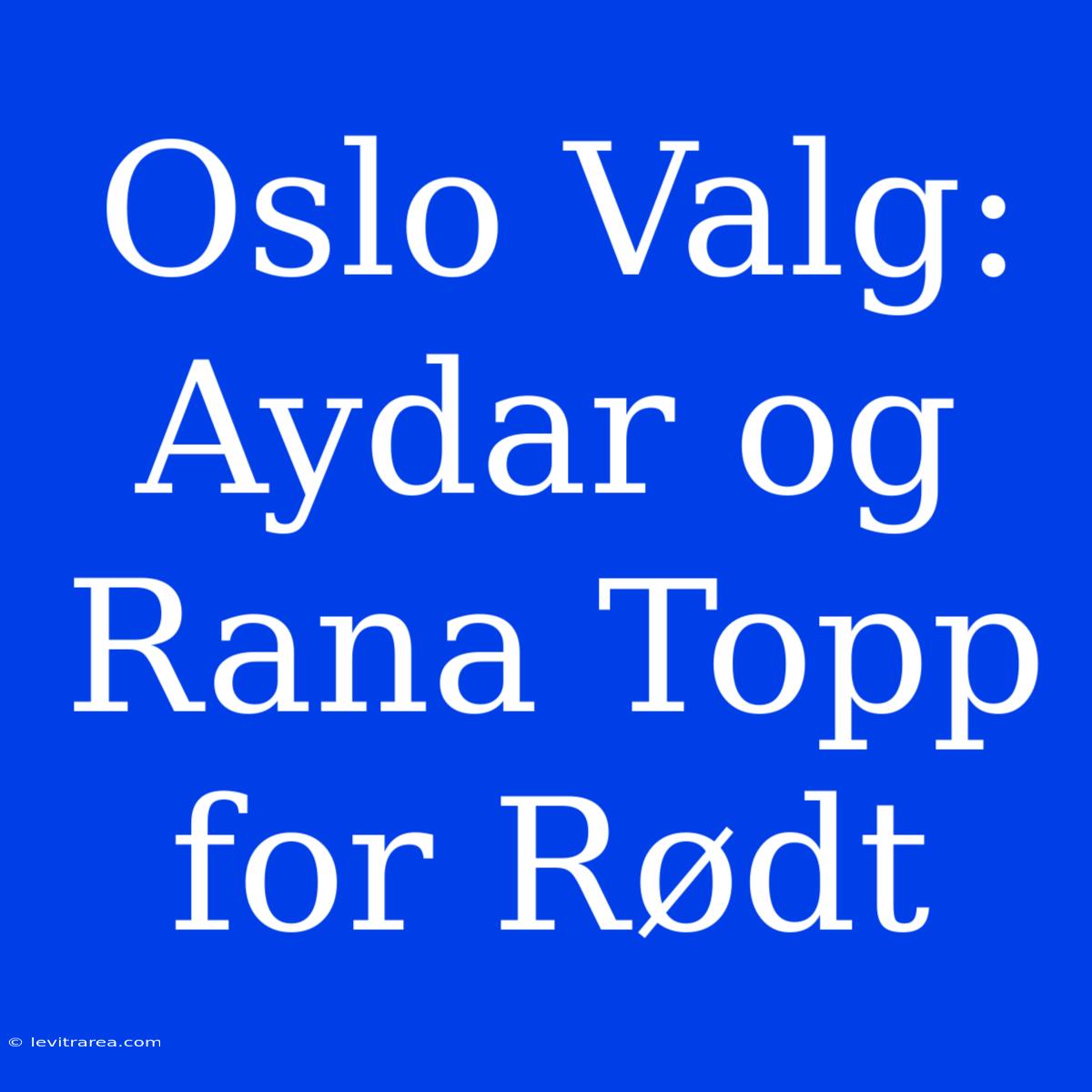 Oslo Valg: Aydar Og Rana Topp For Rødt