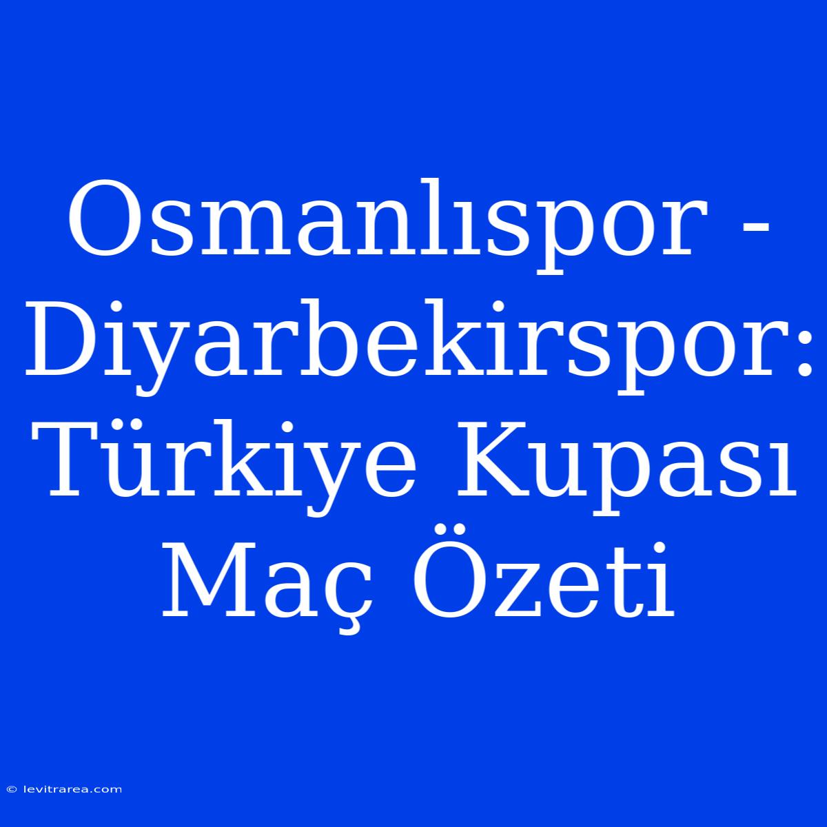 Osmanlıspor - Diyarbekirspor: Türkiye Kupası Maç Özeti