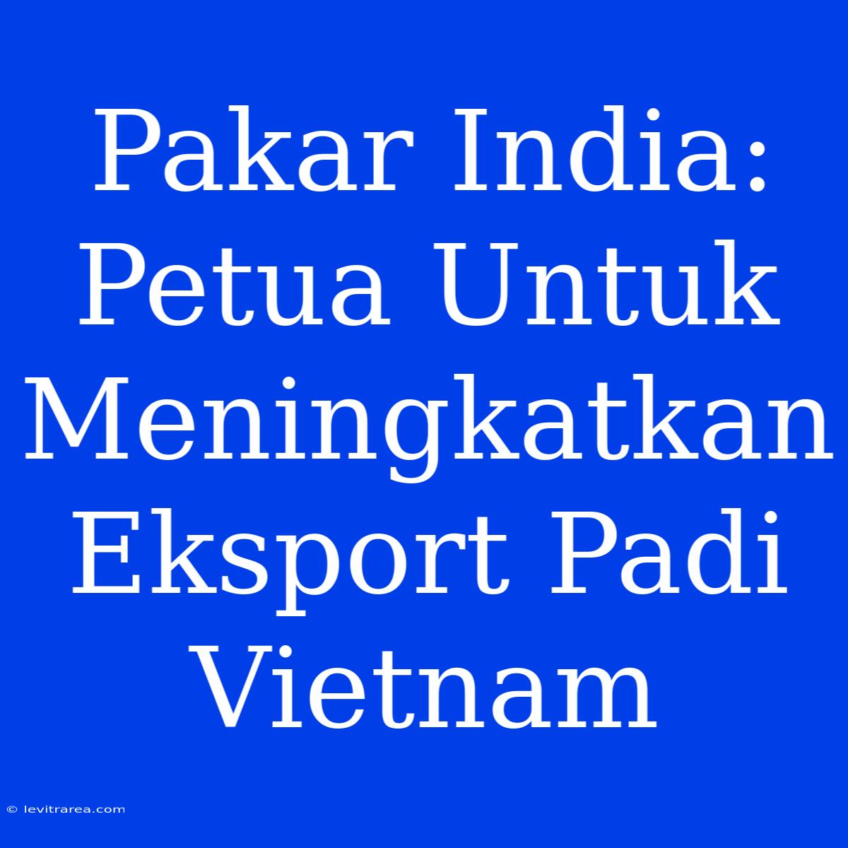 Pakar India: Petua Untuk Meningkatkan Eksport Padi Vietnam