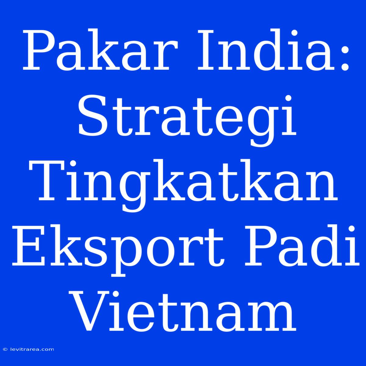 Pakar India: Strategi Tingkatkan Eksport Padi Vietnam