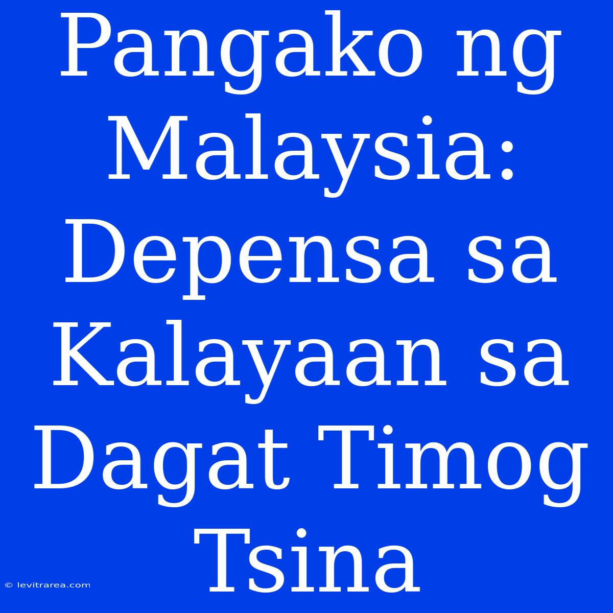 Pangako Ng Malaysia: Depensa Sa Kalayaan Sa Dagat Timog Tsina