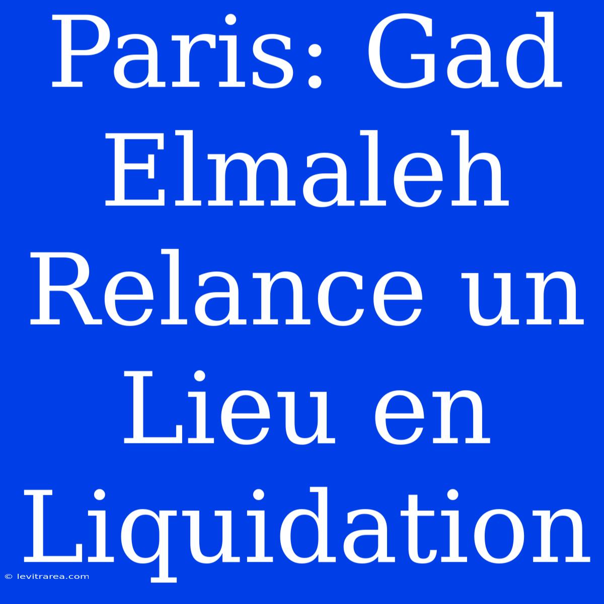 Paris: Gad Elmaleh Relance Un Lieu En Liquidation