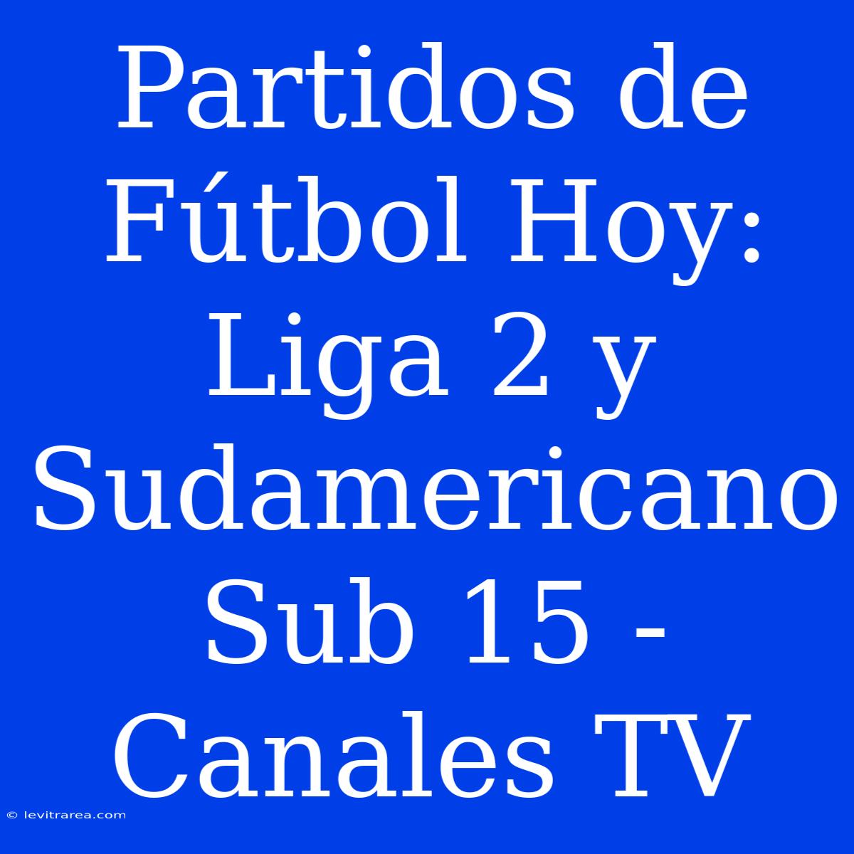 Partidos De Fútbol Hoy: Liga 2 Y Sudamericano Sub 15 - Canales TV 